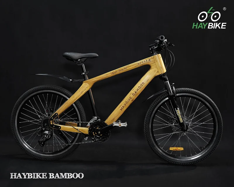 Xe đạp khung tre HayBike BamBoo