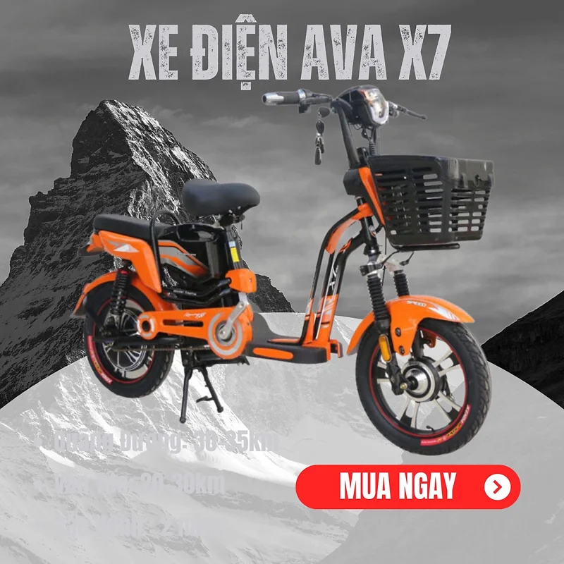 XE ĐIỆN AVA X7