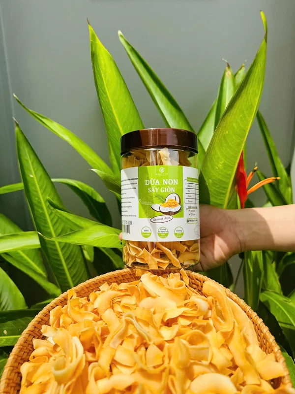 DỪA NON SẤY GIÒN - Coconut chips/ Thương hiệu HOLINUT
