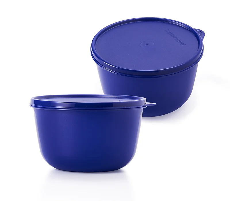 Bộ 2 Hộp Đựng Thực Phẩm Tupperware Modular Bowl 2L