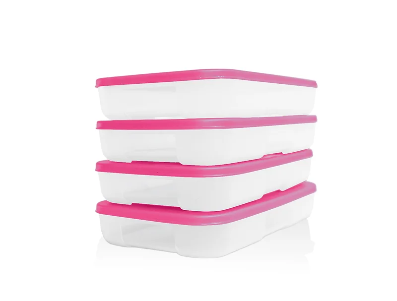 Bộ 4 hộp đựng thực phẩm Tupperware trữ đông Gen I Medium 650ml - Sheer Fdust