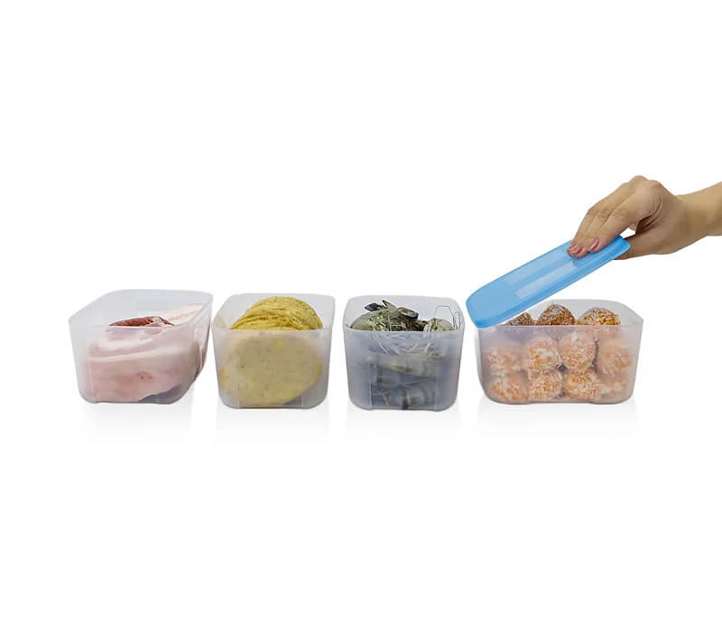 Bộ 4 Hộp Đựng Thực Phẩm Tupperware Trữ Đông Gen I Small 650ml
