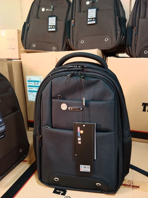 257 Ba Lô Laptop  Cỡ Trung Thủ Đô Vàng  mã BL 257 Các Màu