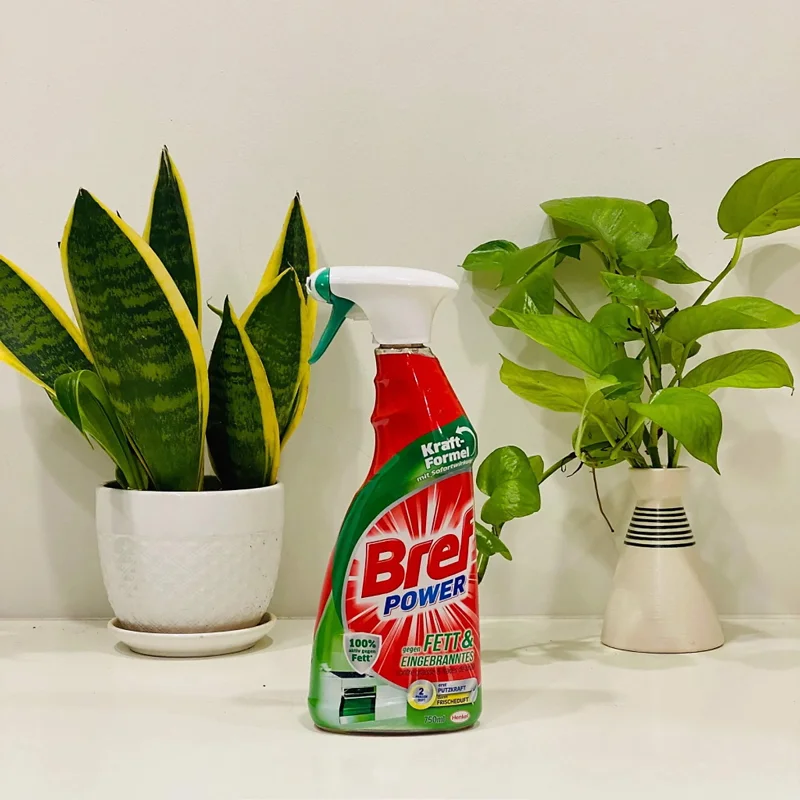 Tẩy rửa đa năng Bref Power Fett & Eingebranntes 750ml